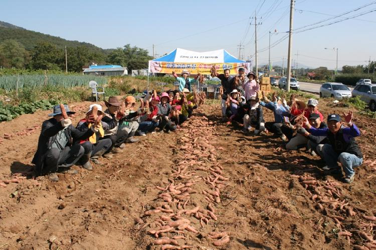 1021_갑비고차전원생활연구회_농산물_수확2
