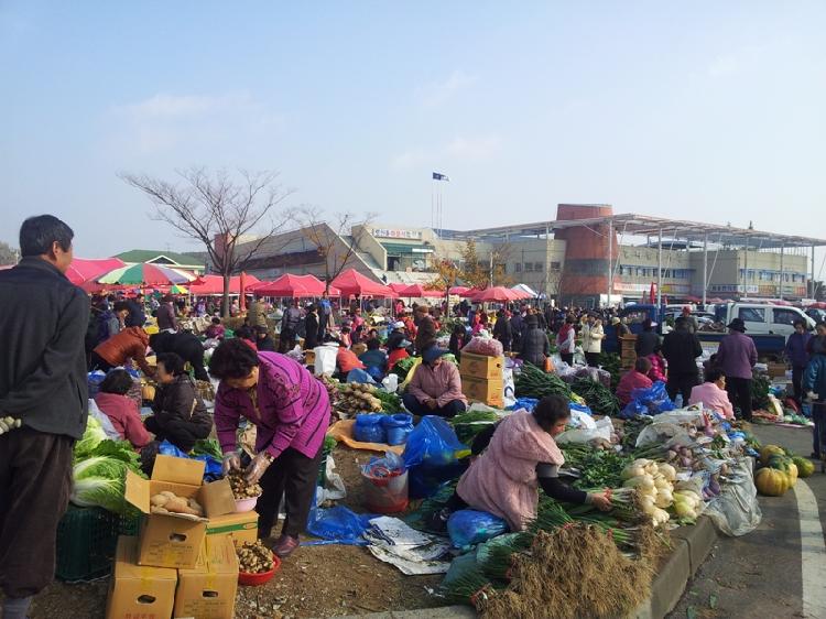 1030_김장시장_개설1