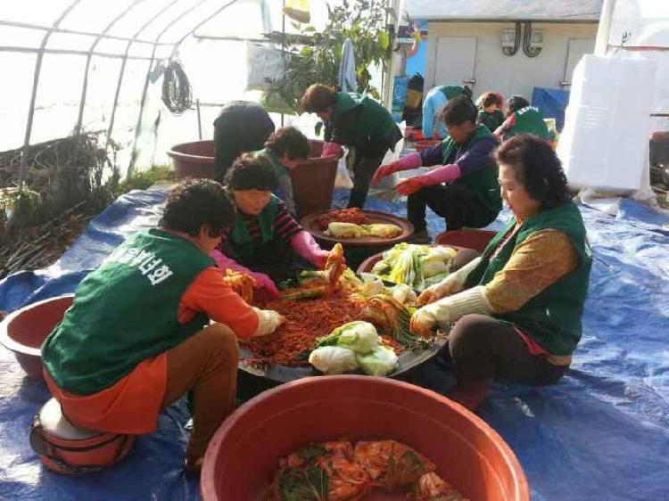 1108_화도면새마을부녀회_김장_담그기(1)