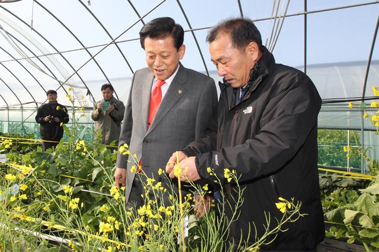 1113_순무유전자원_현장평가회