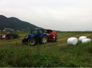 1114_조사료_생산_사진1