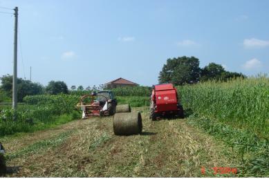 1114_조사료_생산_사진2