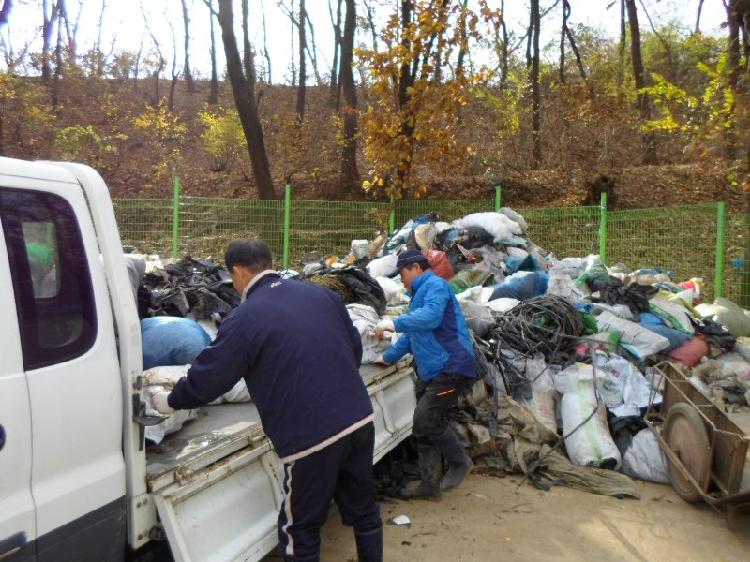 1120_선원면기관단체_환경정화_활동_(2)