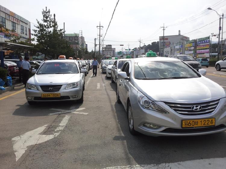 1127_강화종합터미널_앞_택시승강장