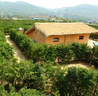 1211_농업기술센터_내_조선온실_(1)