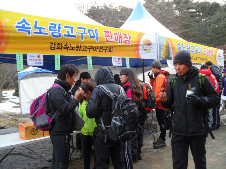 0103_마니산에서_강화속노랑고구마_홍보_(1)