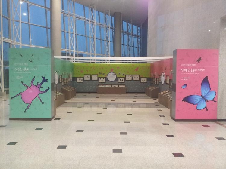 0116_강화역사박물관_곤충_기획전_(1)