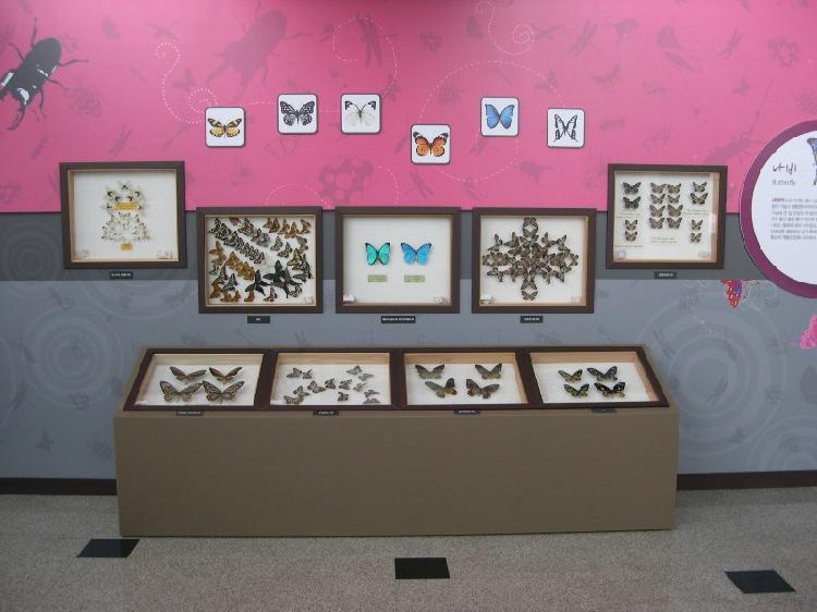 0116_강화역사박물관_곤충_기획전_(2)