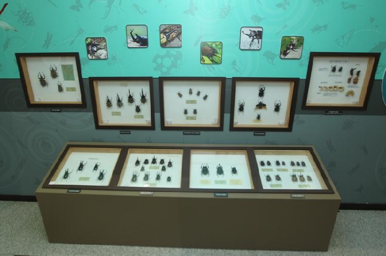 0118_곤충의_세계_전시회_개막_(1)