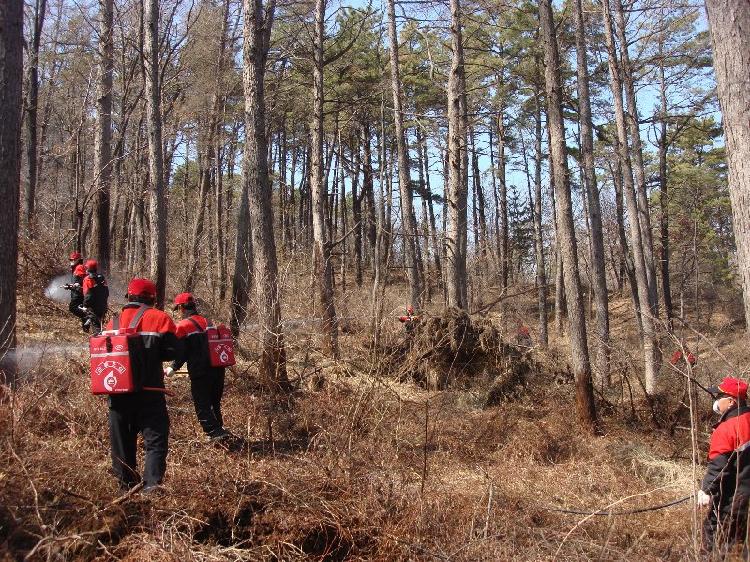 0205_산불_진화모습_(2)