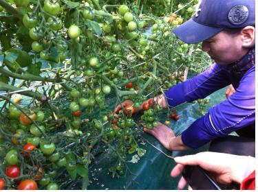 0226_현장교육_모습