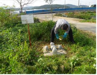 0304_측량기준점_일제조사_모습