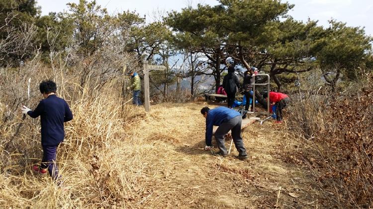 0310_불은면_덕정산_등산로_정비