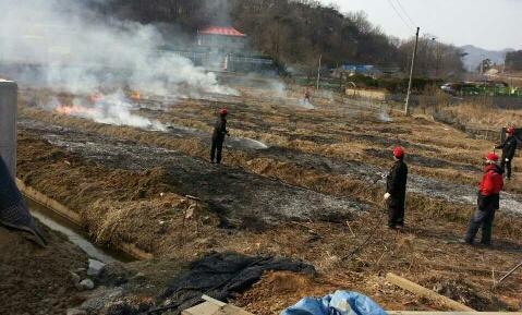 0318_산불진압_장면_(2)