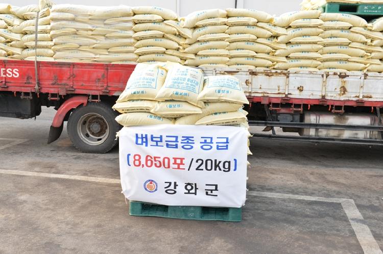 0321_벼_보급종_공급_모습