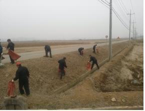 0321_교동면_새봄맞이_대청결운동