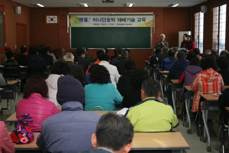 0324_미니단호박_교육_(1)