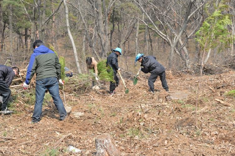 0402_강화군_식목행사_(1)