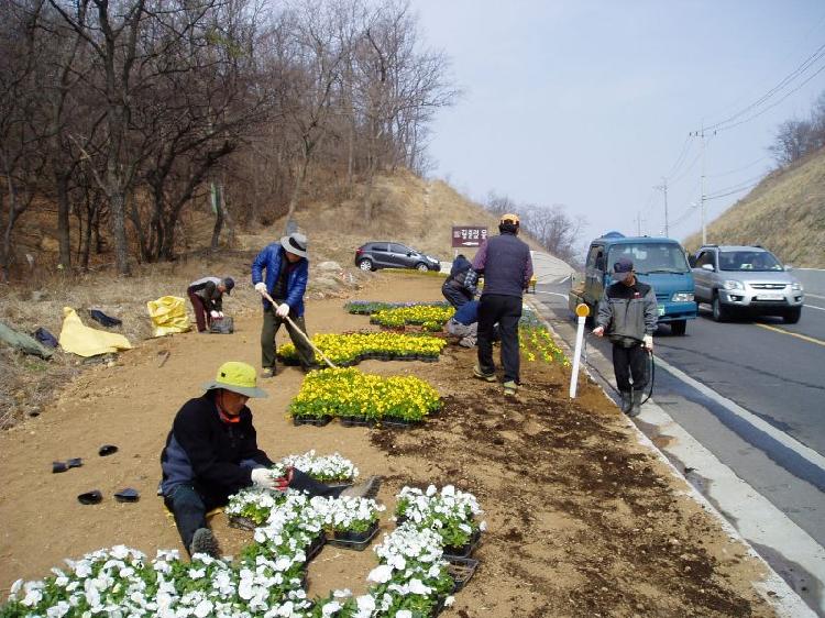 0402_양도면_도로변_화단조성_(1)