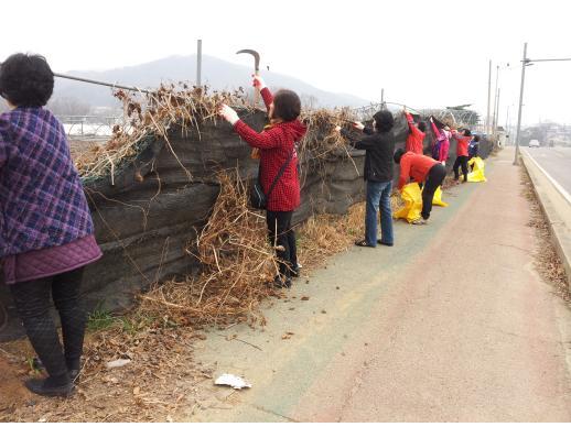 0408_양도면_환경정비_(1)