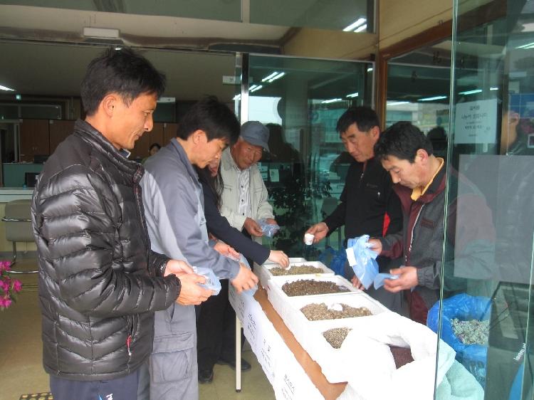0418_화도면_꽃씨_나누기_행사