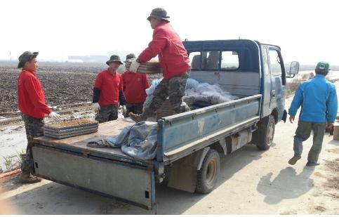 0425_해병대원들이_모판을_나르고_있는_모습