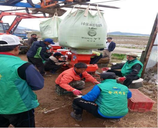 0502_교동면새마을지도자협의회_농촌일손돕기