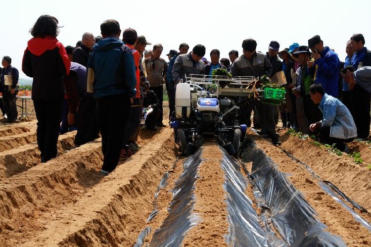 0512_고구마묘_이식기_사용교육_(2)