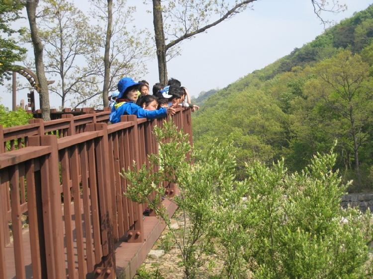 0516_숲_해설가_윤영숙