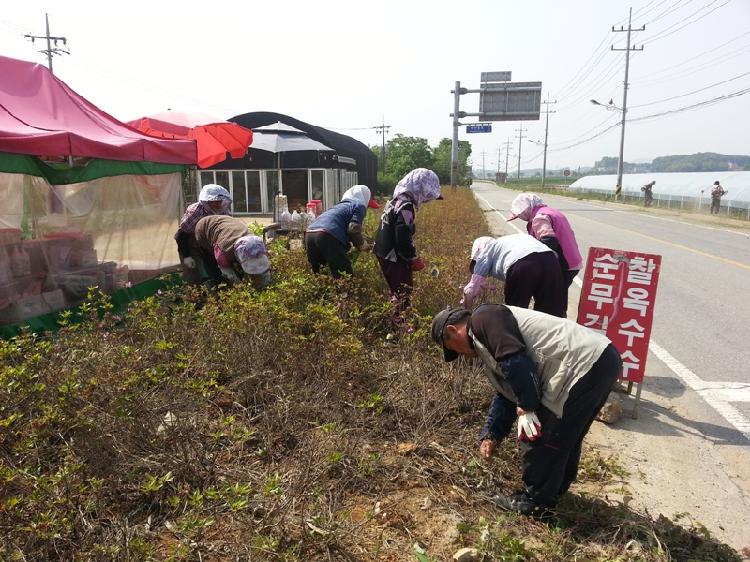 0520_강화읍_환경정비