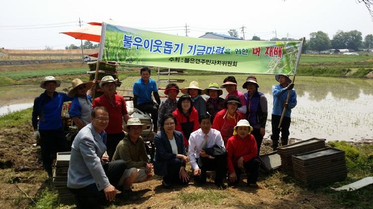 0521_불은면주민자치위_모내기_(1)