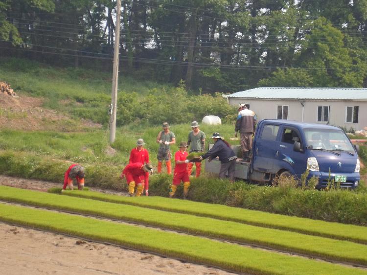 0522_송해면_해병대원_농촌_일손돕기