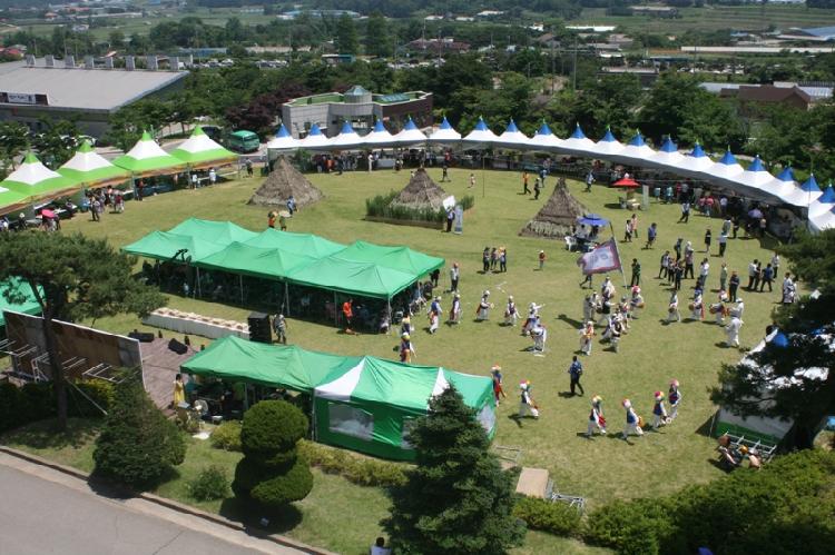 05247_약쑥축제_모습_(2)