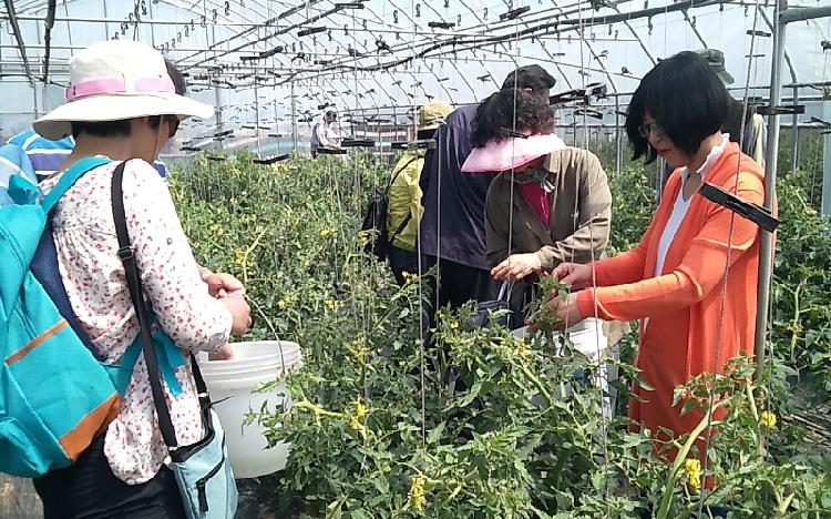 0526_귀촌생활원예교육_현장교육_(2)