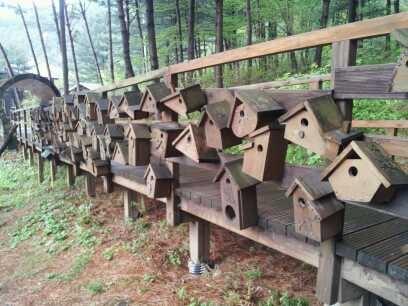 0526_석모도_수원_새집_달아주기_(1)