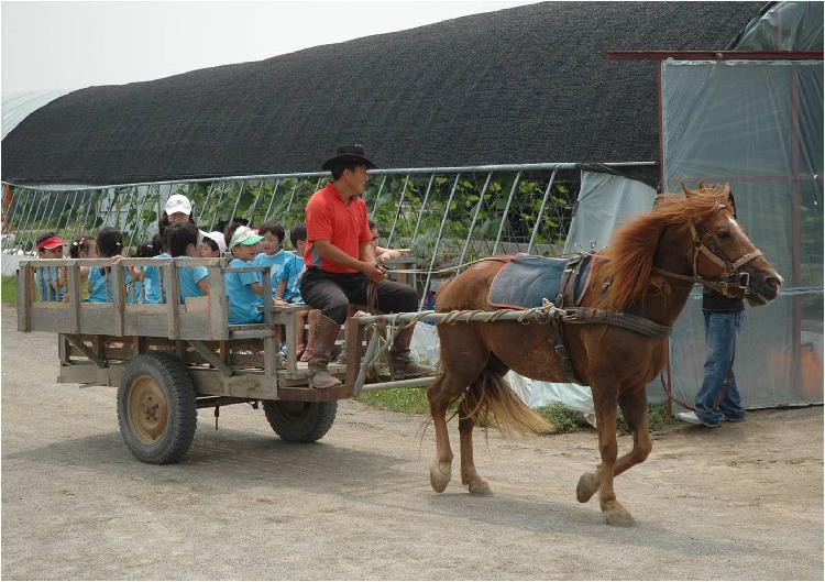 0605_강화도_자연체험학습장_(1)