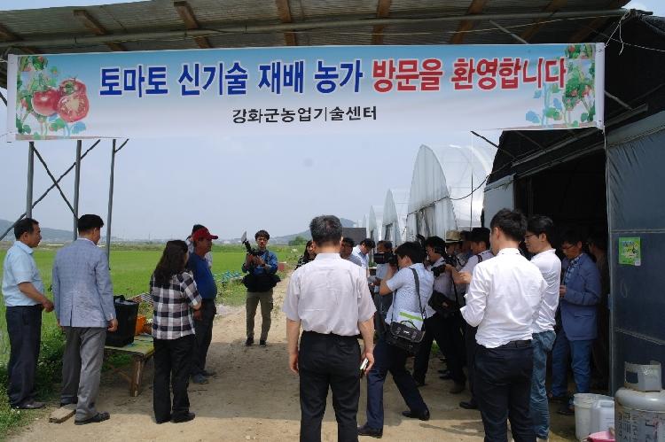 0613_토마토_재배현장_방문_(2)
