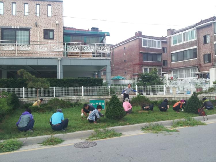 0617_강화읍주민자치위원회_마을가꾸기_(1)