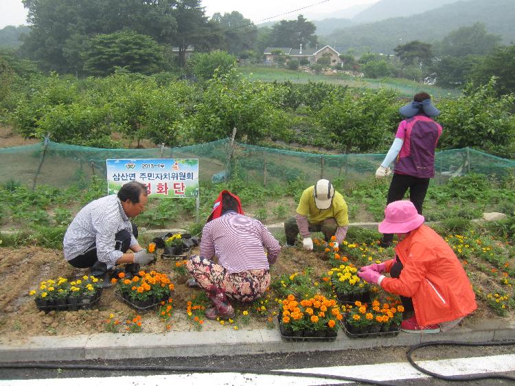 0618_삼산면주민자치위_여름꽃_식재_(2)