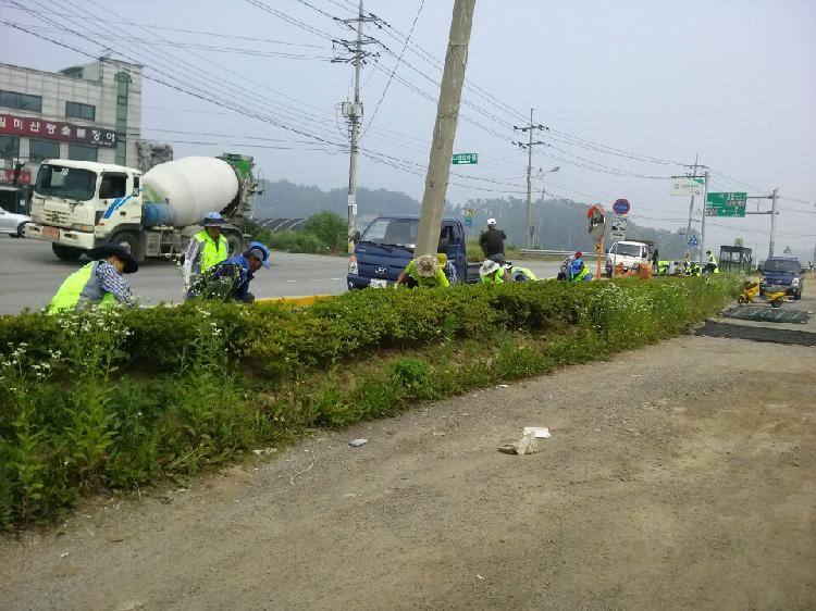 0618_선원면주민자치위_꽃_식재
