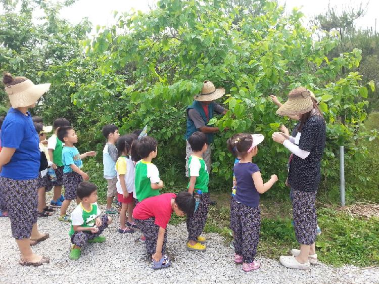 0619_도감뿌리농원_(1)