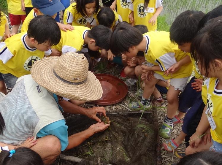 0619_도감뿌리농원_(2)