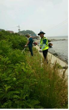 0625_화도면_동막리_자율방범대_제초작업