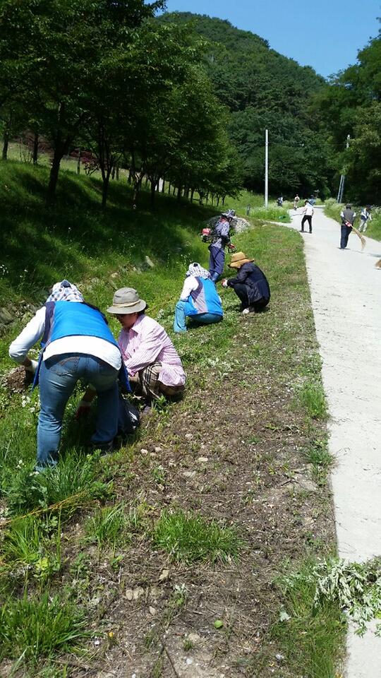 0708_내가면주민자치위_환경정비_(1)