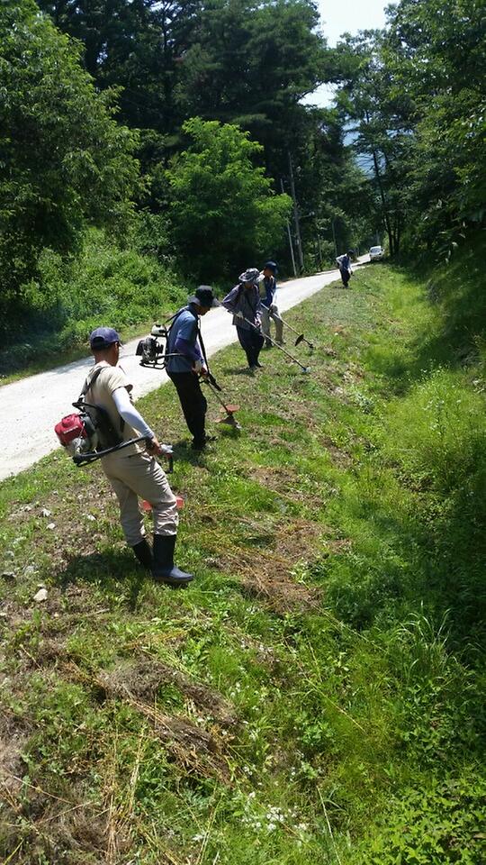 0708_내가면주민자치위_환경정비_(2)