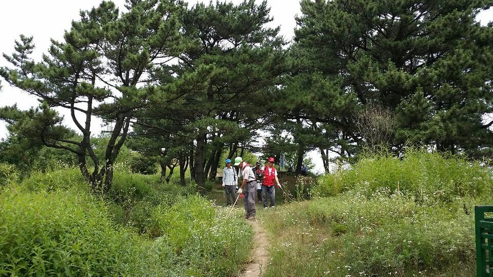 0711_하점면새마을지도자협의회_봉천산_등산로_정비_(2)