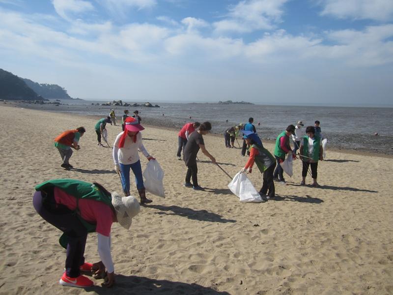 0714_삼산면_민머루해변_환경정화_(2)