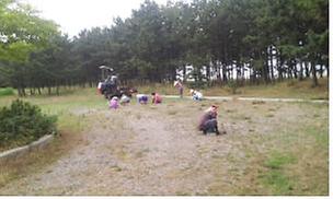 0714_서도면_해변가_환경정비_(2)