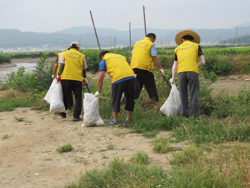 0718_송해면주민자치위원회_대청소