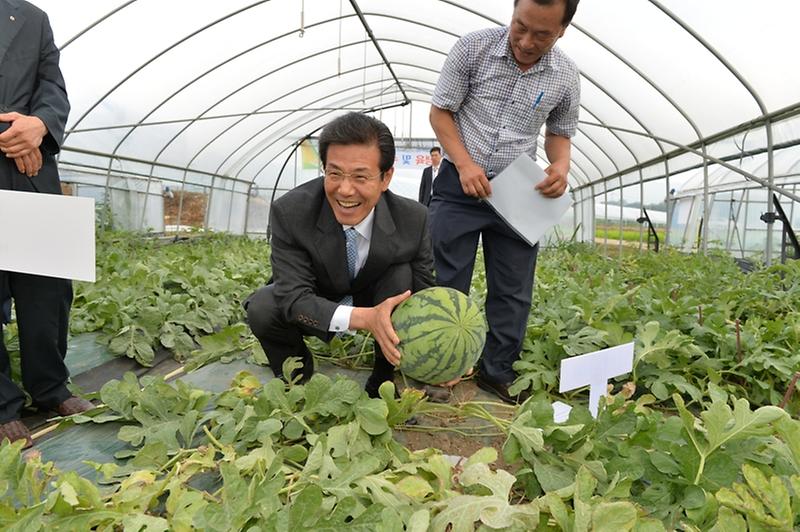 0718_수박_품질고급화_현장평가회_(1)